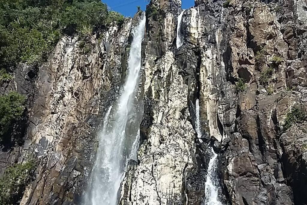 فيلا لو تامبونفي Chalet Les Azalees المظهر الخارجي الصورة