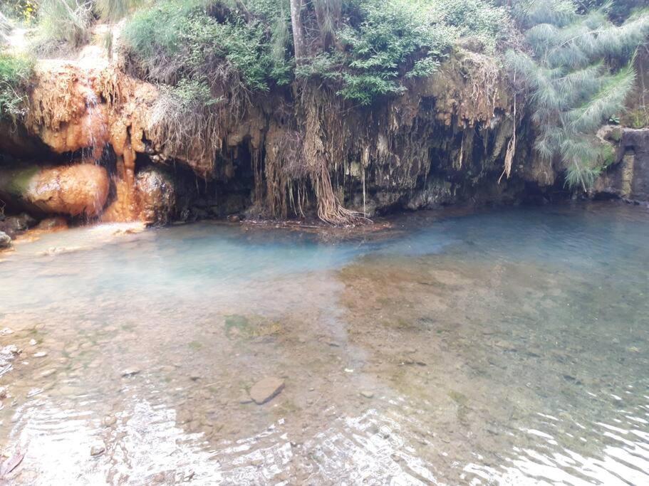 Chalet Les Azalees لو تامبون المظهر الخارجي الصورة