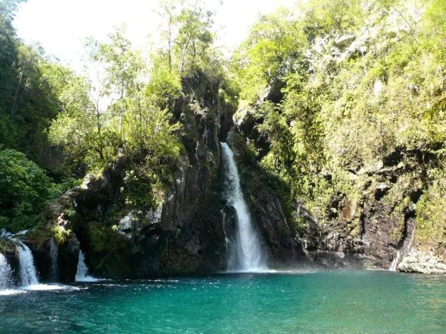 فيلا لو تامبونفي Chalet Les Azalees المظهر الخارجي الصورة