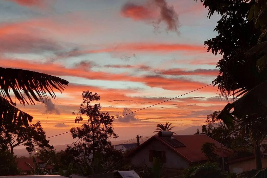 فيلا لو تامبونفي Chalet Les Azalees المظهر الخارجي الصورة